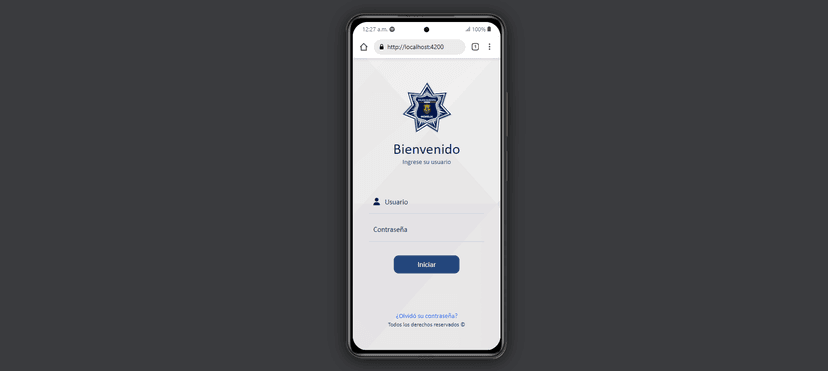 Sistema de infracciones Morelia